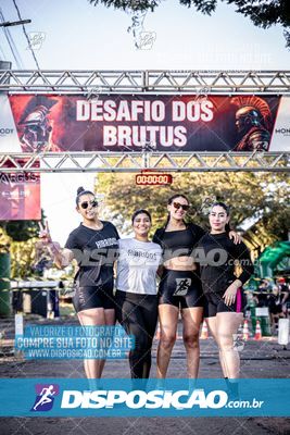 Foto 7109613