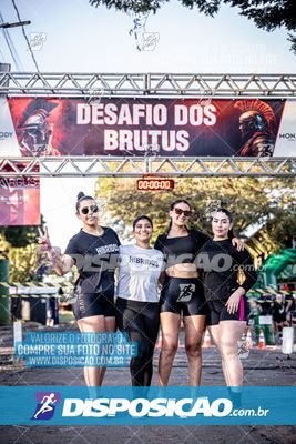 Foto 7109618