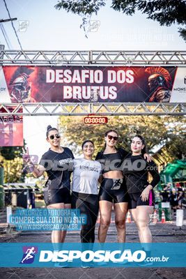 Foto 7109619