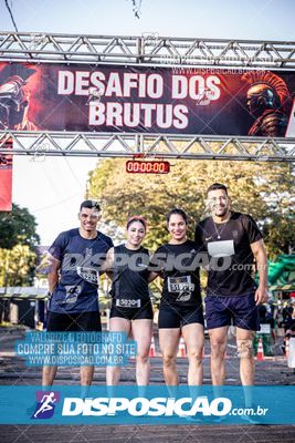 Foto 7109678