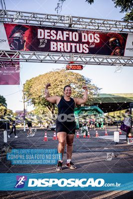 Foto 7112187