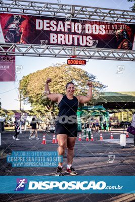 Foto 7112182