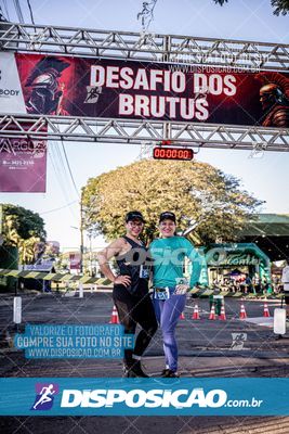 Foto 7112319