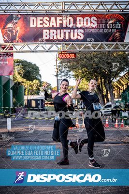 Foto 7110196