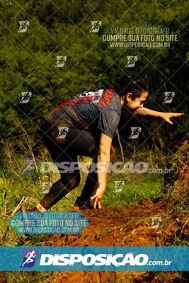Foto 7121373