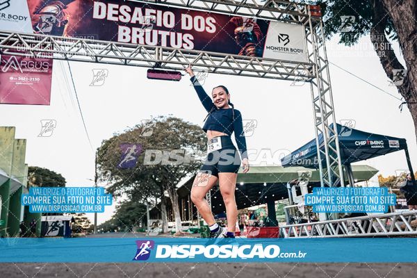 Foto 7127089
