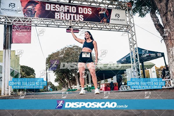 Foto 7128145