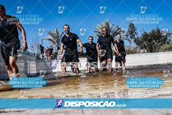 Foto 7131421