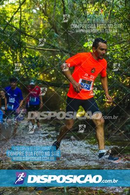 Foto 7115209