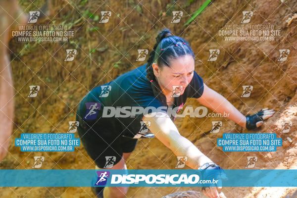 Foto 7115797