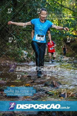 Foto 7116114