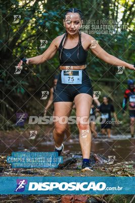 Foto 7116153