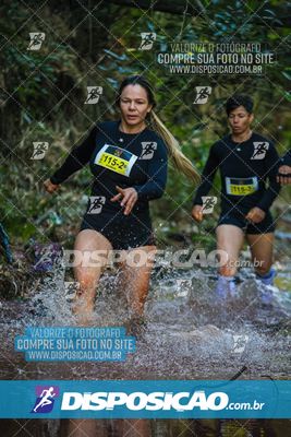 Foto 7116617