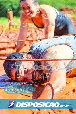 Foto 7115114