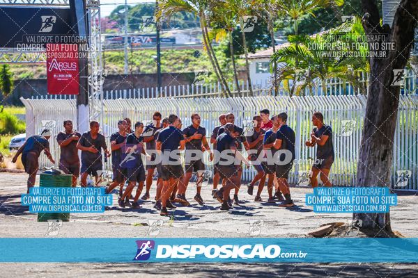 Foto 7115192