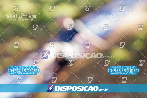Foto 7136021