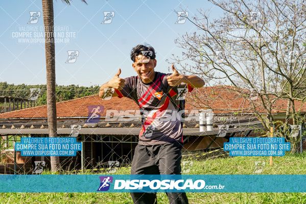 Foto 7136165