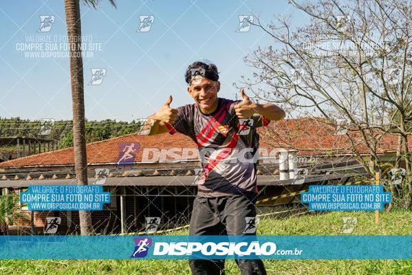 Foto 7136167