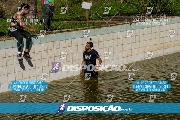 Foto 7136169