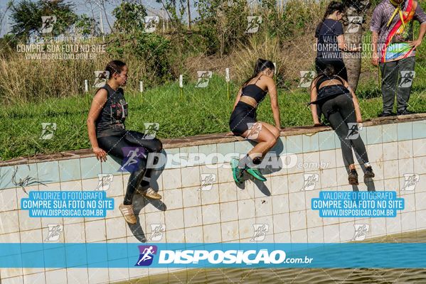 Foto 7136175