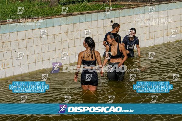 Foto 7136177