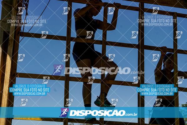 Foto 7136204