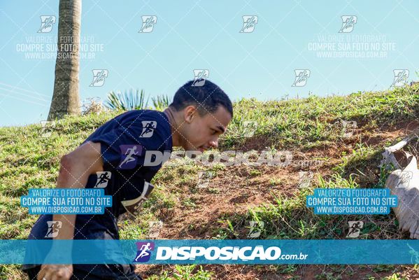 Foto 7136261