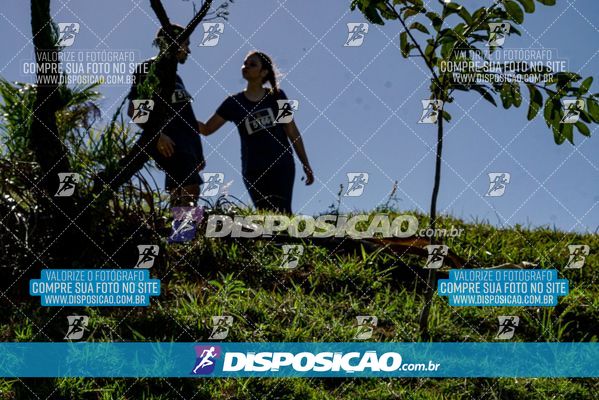 Foto 7136265