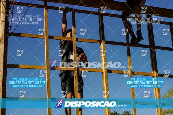 Foto 7136286