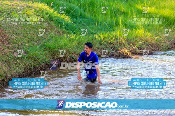 Foto 7126142