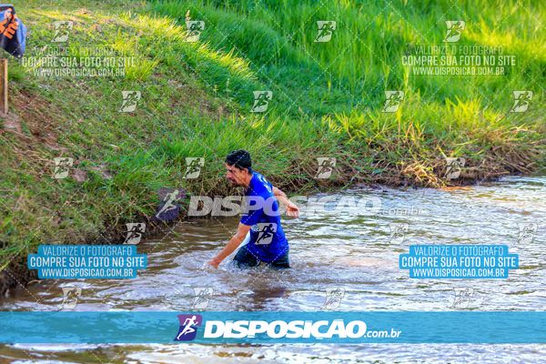 Foto 7126146