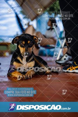 Foto 7149161