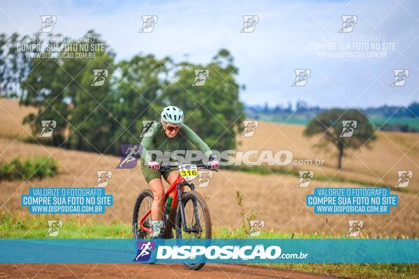 Foto 7146997