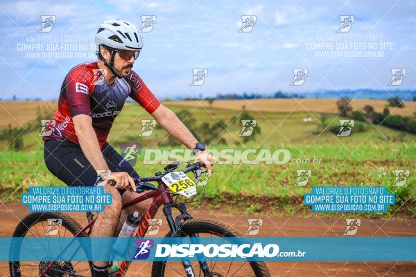 Foto 7147040