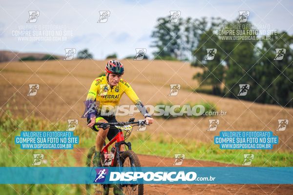 Foto 7147185