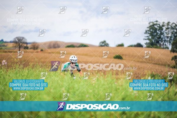 Foto 7147485