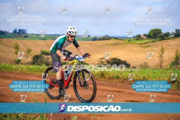 Foto 7147491