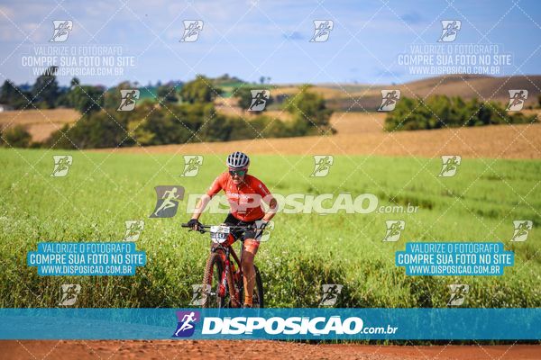 Foto 7148097