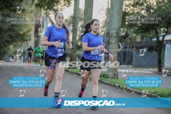 Foto 7142361