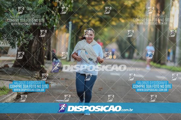 Foto 7142434