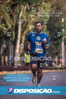 Foto 7179324