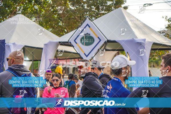 Foto 7195721