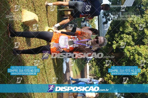 Foto 7322287