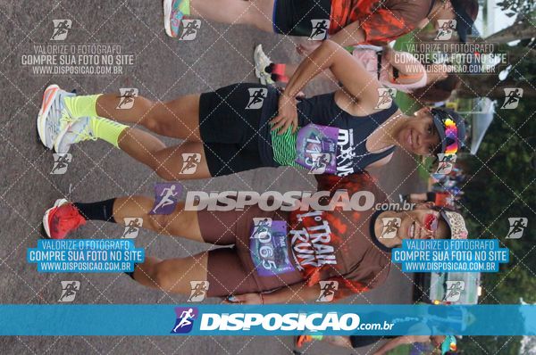 Foto 7322292