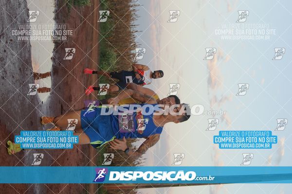 Foto 7322299