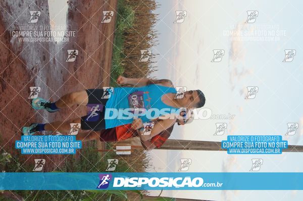 Foto 7322319