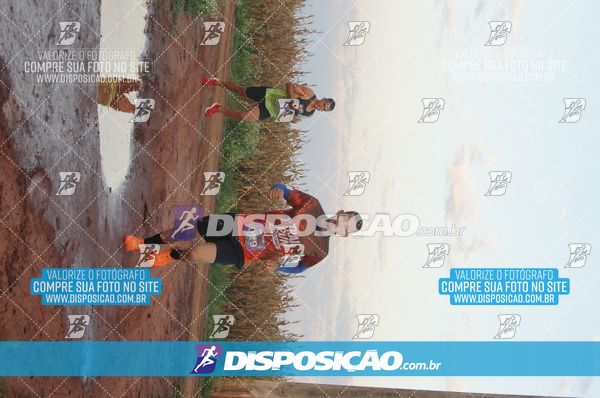 Foto 7322324