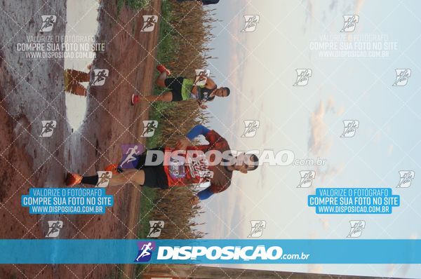 Foto 7322326