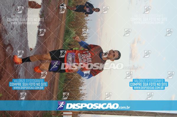 Foto 7322330