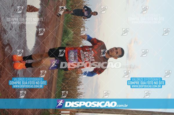 Foto 7322331